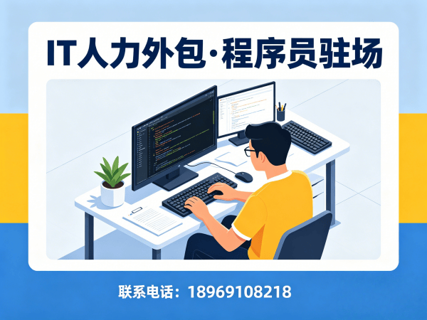 南京IT人力外包解决方案：解决企业招聘难题的高效技术人才服务