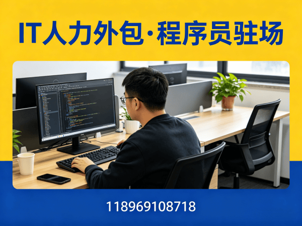 郑州IT人力外包解决方案：项目经理程序员工程师快速融入团队的高效选择